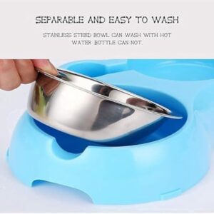 2 in 1 Pet Feeder Bowl