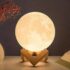 3dmoon3 3D Moon Lamp