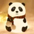 51or9zxgywl-sl1000-500x500 Panda Night Lamp