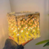 Square Tulip Lamp