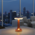 nasrin (4) Rose Gold Metal LED Table Lamp