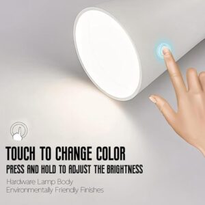 2a5a7e6fc4c6f_151_4058 4 in 1 LED Desk Lamp