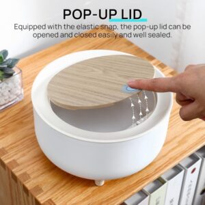 Desktop Dustbin Round