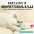 2a5a7e6fc4c6f_2146_4599 Cat Teasing Ball