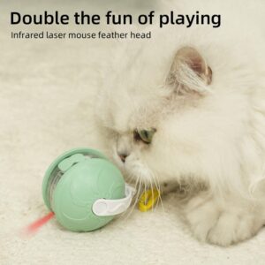 2a5a7e6fc4c6f_2146_4600 Cat Teasing Ball