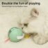 2a5a7e6fc4c6f_2146_4600 Cat Teasing Ball