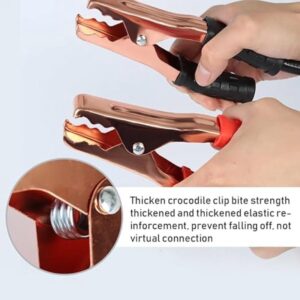 2a5a7e6fc4c6f_385_2879 Cable Booster 3000 AMP