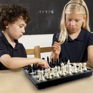 2a5a7e6fc4c6f_445_2723 Magnetic Chess Set