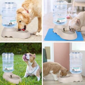 Automatic Gravity Pet Water Dispenser