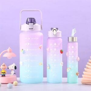 41nghKXlVdL._SX569_ 3 Pcs Motivational Bottle