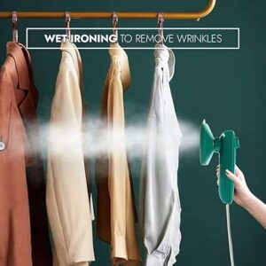 511TE+Yg8LL._SX425_ Professional Micro Steam Iron