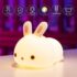 51Fl9YFarPL._SL1001_ Rabbit Night Lamp