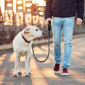 Dog Walking Rope 4ft