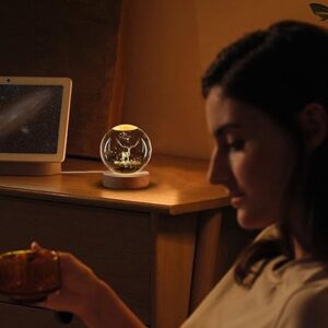 3d Crystal Ball -Deer