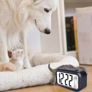 61877k9zb4L._SX569_ Rectangle Digital Alarm Clock