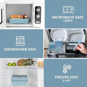 61XY+ddplDL._SX569_ Plastic Lunch Box