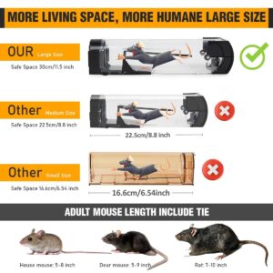 61nuY0r+S1L._SL1200_ Mouse Traps Box