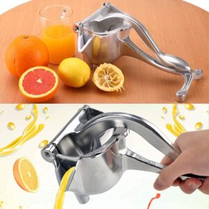 Manual Citrus Juice Press