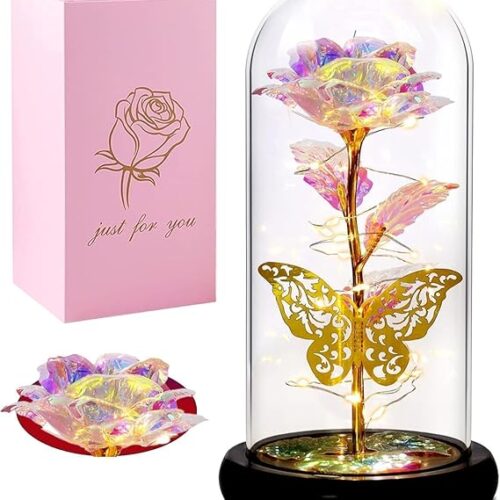 Rose  with Butterfly Dome