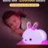 71czMmLQwGL._SL1500_ Rabbit Night Lamp
