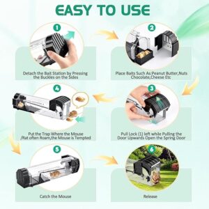 71mALNBH17L._SX569_ Mouse Traps Box