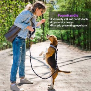 Dog Walking Rope 4ft