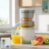 CitrusJuicer-WOSKU-01 Citrus Juicer