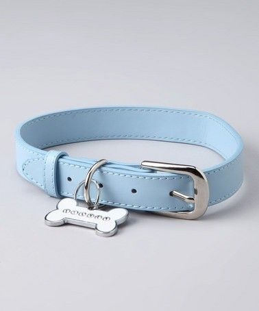 2 in 1 Pet Feeder Bowl