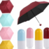 Capsule Pocket Mini Umbrella