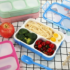 Whisk_cf73e08ed31003384b244800f3c6083fdr Bento Lunch Box
