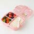 Compact Bento Lunch Box