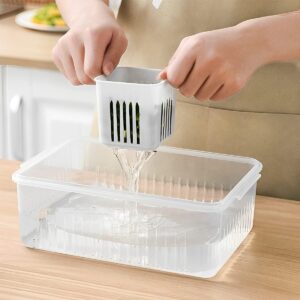 6 Grid fridge Storage Organizer