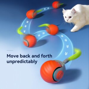 Rolling Interactive Cat Toy Ball