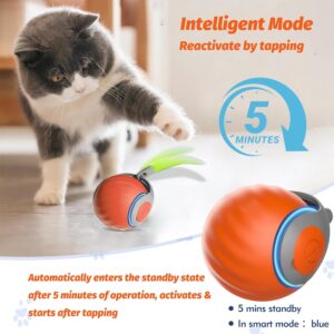 Rolling Interactive Cat Toy Ball