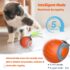 Rolling Interactive Cat Toy Ball