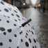 Dot Umbrella