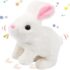 Walking Rabbit Toy