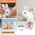 Walking Rabbit Toy