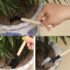 Mini Gardening Tools Kit